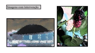 Imagens com intervenção

 