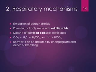 2. Respiratory mechanisms
 Exhalation of carbon dioxide
 Powerful, but only works with volatile acids
 Doesn’t affect fixed acids like lactic acid
 CO2 + H20 ↔ H2CO3 ↔ H+ + HCO3
-
 Body pH can be adjusted by changing rate and
depth of breathing
14
 