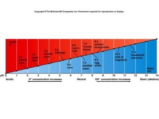 Comprehensive Overview of Acid-Base Balance and Imbalance in Human ...