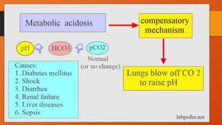 Types and diagnosis and treatment of acid base balance | PPTX
