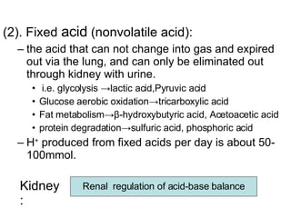 (2). Fixed  acid  (nonvolatile acid):  the acid that can not change into gas and expired out via the lung, and can only be eliminated out through kidney with urine. i.e. glycolysis ->lactic acid,Pyruvic acid Glucose aerobic oxidation->tricarboxylic acid Fat metabolism-> β - hydroxybutyric acid, Acetoacetic acid protein degradation->sulfuric acid, phosphoric acid H +  produced from fixed acids per day is about 50-100mmol. Kidney: Renal  regulation of acid-base balance 