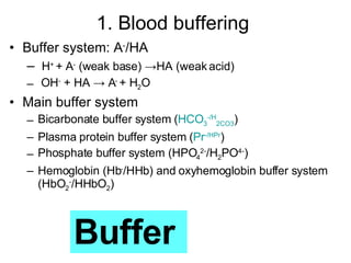 Buffer system: A - /HA H +  + A -  (weak base) ->HA (weak acid) OH -  + HA -> A -  + H 2 O Main buffer system Bicarbonate buffer system ( HCO 3 - /H 2 CO 3 ) Plasma protein buffer system ( Pr - / HPr ) Phosphate buffer system (HPO 4 2- /H 2 PO 4- ) Hemoglobin (Hb - /HHb) and oxyhemoglobin buffer system (HbO 2 - /HHbO 2 ) 1. Blood buffering  H + OH - H + H + OH - OH - Buffer 