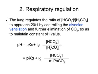 2. Respiratory regulation The lung regulates the ratio of [HCO 3 - ]/[H 2 CO 3 ] to approach 20/1 by controlling the  alveolar ventilation  and further elimination of CO 2 , so as to maintain constant pH value. pH = pK α + lg =  pK α   + lg [HCO 3 - ] [H 2 CO 3 ] [HCO 3 - ] α · PaCO 2 