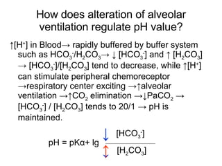 How does alteration of alveolar ventilation regulate pH value? ↑ [H + ] in Blood-> rapidly buffered by buffer system such as HCO 3 - /H 2 CO 3 -> ↓ [HCO 3 - ] and ↑ [H 2 CO 3 ] -> [HCO 3 - ]/[H 2 CO 3 ] tend to decrease, while ↑[H + ] can stimulate peripheral chemoreceptor ->respiratory center exciting ->↑alveolar ventilation ->↑CO 2  elimination ->↓PaCO 2  -> [HCO 3 - ] / [H 2 CO 3 ] tends to 20/1 -> pH is maintained. ↓ pH = pK α + lg [HCO 3 - ] [H 2 CO 3 ] ↓ ↑ 
