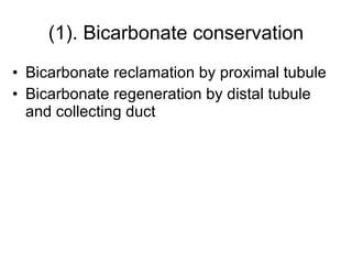 (1). Bicarbonate conservation Bicarbonate reclamation by proximal tubule Bicarbonate regeneration by distal tubule and collecting duct 