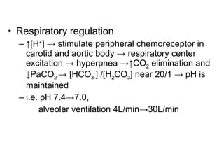 Respiratory regulation ↑ [H + ] -> stimulate peripheral chemoreceptor in carotid and aortic body -> respiratory center excitation -> hyperpnea ->↑CO 2  elimination and ↓PaCO 2  -> [HCO 3 - ] /[H 2 CO 3 ] near 20/1 -> pH is maintained i.e. pH 7.4->7.0, alveolar ventilation 4L/min->30L/min 