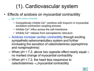 (1). Cardiovascular system Effects of acidosis on myocardial contractility H +  inhibits cardiac contractility Competitively inhibits Ca 2+  combine with troponin in myocardial excitation-contraction coupling process Inhibits Ca 2+  influx across the cell membrane Inhibits Ca 2+  release from sarcoplasmic reticulum Acidosis increase cardiac contractility  through exciting sympathetic-adrenomedullary system and further increasing the secretion of catecholamines (epinephrine and norepinephrine) When pH = 7.2, above two opposite effect nearly equal-> no marked change of myocardial contractility When pH < 7.2, the heart less responsive to catecholamines->↓myocardial contractility 