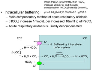 Intracellular buffering Main compensatory method of acute respiratory acidosis [HCO 3 - ] increase 1mmol/L per increased 10mmHg of PaCO 2 Acute respiratory acidosis is usually decompensated Carbonic anhydrase When PaCO 2  is 60mmHg, then PaCO 2  increase 20mmHg, and through compensation [HCO 3 - ] increase 2mmol/L,  pH=6.1+lg(24+2)/0.03×60=6.1+lg26/1.8 ↑ [H 2 CO 3 ] H 2 CO 3 HCO 3 - H 2 O CO 2 Cl - H + H + CO 2 H 2 O H + HCO 3 - + + + + K + HCO 3 - Buffered by intracellular buffer system ICF ECF 