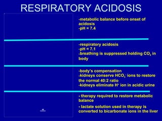 RESPIRATORY ACIDOSIS metabolic balance before onset of acidosis pH = 7.4 respiratory acidosis pH = 7.1 breathing is suppressed holding CO 2  in body body’s compensation kidneys conserve HCO 3 -  ions to restore the normal 40:2 ratio kidneys eliminate H +  ion in acidic urine - therapy required to restore metabolic balance - lactate solution used in therapy is converted to bicarbonate ions in the liver 40 