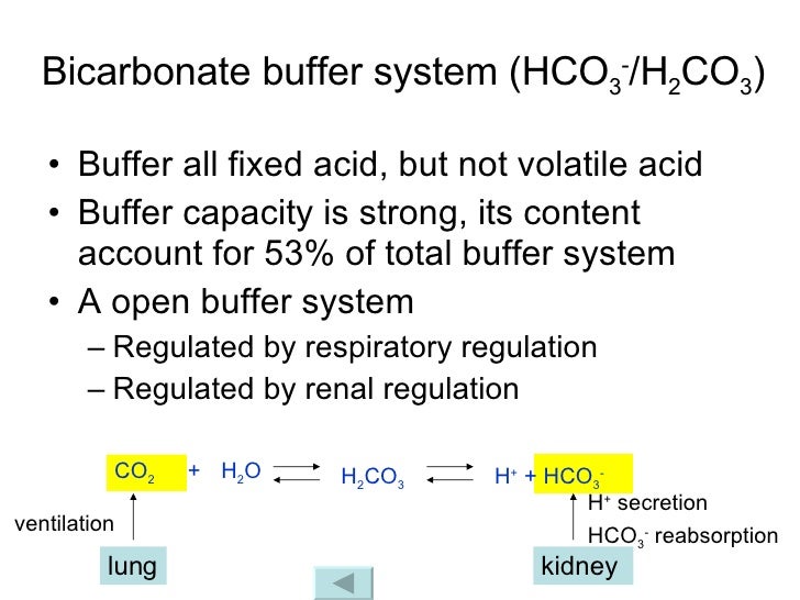 Acid Base Balance And Disturbance