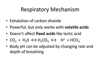 Respiratory Mechanism
• Exhalation of carbon dioxide
• Powerful, but only works with volatile acids
• Doesn’t affect fixed acids like lactic acid
• CO2 + H20 ↔ H2CO3 ↔ H+ + HCO3
-
• Body pH can be adjusted by changing rate and
depth of breathing
 