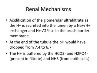 Renal Mechanisms
• Acidification of the glomerular ultrafiltrate as
the H+ is secreted into the lumen by a Na+/H+
exchanger and H+-ATPase in the brush border
membrane.
• At the end of the tubule the pH would have
dropped from 7.4 to 6.7
• The H+ is buffered by the HCO3- and H2PO4-
(present in filtrate) and NH3 (from epith cells)
 