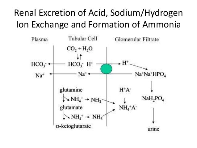 Acid base abnormalities (causes and treatment)