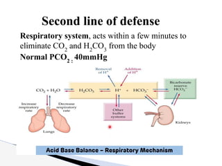 Respiratory system, acts within a few minutes to
eliminate CO2
and H2
CO3
from the body
Normal PCO2 :
40mmHg
Second line of defense
 