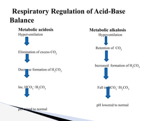 Metabolic acidosis
Hyperventilation
Elimination of excess CO2
Decrease formation of H2
CO3
Inc. HCO3
-
/H2
CO3
pH raised to normal
Metabolic alkalosis
Hypoventilation
Retention of CO2
Increased formation of H2
CO3
Fall in HCO3
-
/H2
CO3
pH lowered to normal
Respiratory Regulation of Acid-Base
Balance
 