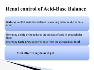 Kidneys control acid-base balance : excreting either acidic or basic
urine.
Excreting acidic urine reduces the amount of acid in extracellular
fluid
Excreting basic urine removes base from the extracellular fluid
Most effective regulator of pH
Renal control of Acid-Base Balance
 