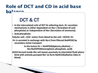 Role of DCT and CD in acid base
balance
 
