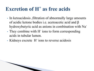 • In ketoacidosis ,filtration of abnormally large amounts
of acidic ketone bodies i.e. acetoacetic acid and β
hydroxybutyric acid as anions in combination with Na⁺
• They combine with H⁺ ions to form corresponding
acids in tubular lumen.
• Kidneys excrete H⁺ ions to reverse acidosis
Excretion of H+
as free acids
 