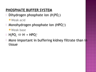 Ppo2 Acid Base Balance Acid base balance | PPT