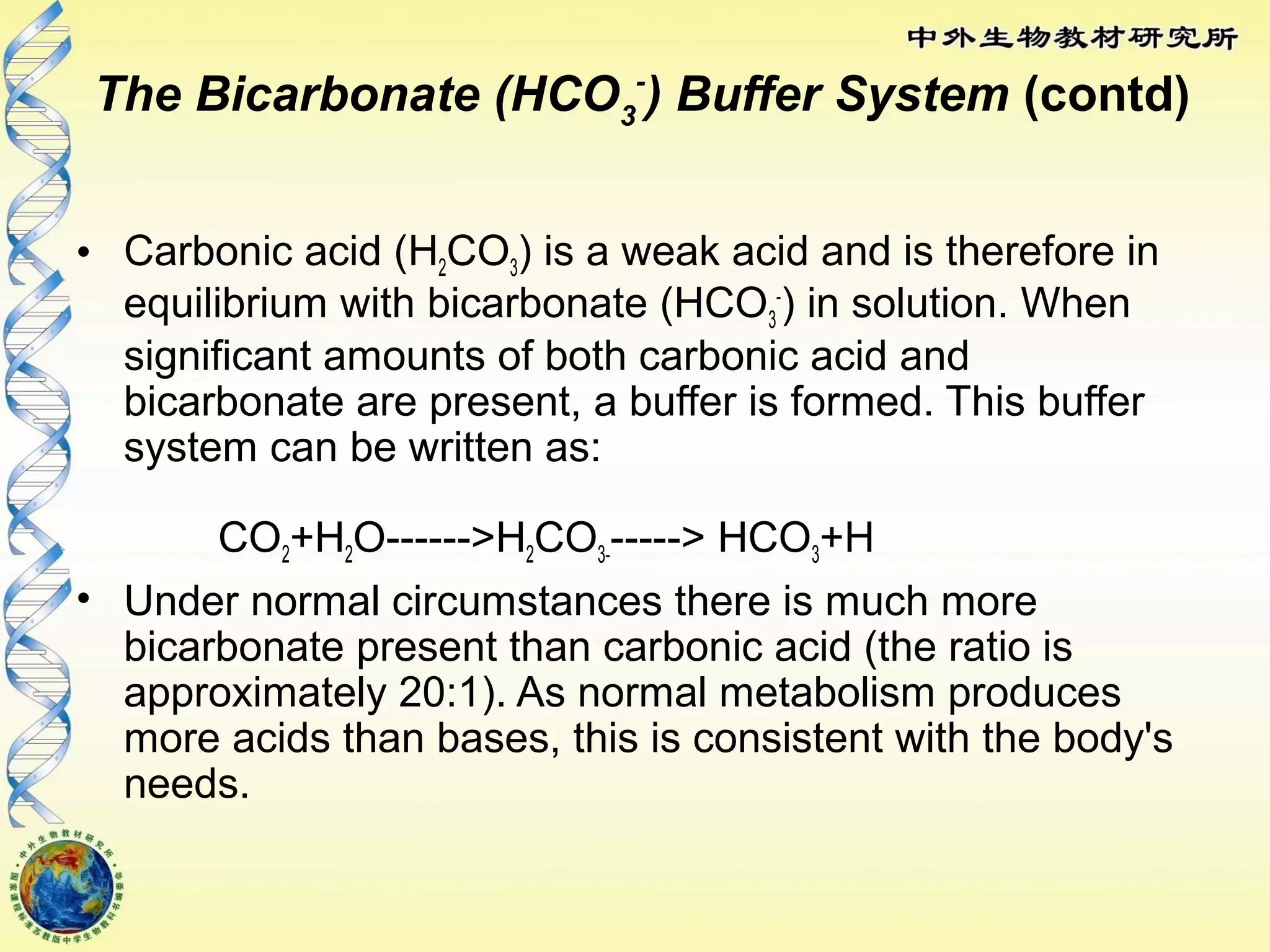 The Bicarbonate (HCO3
-
) Buffer System (contd)
• Carbonic acid (H2CO3) is a weak acid and is therefore in
equilibrium with bicarbonate (HCO3
-
) in solution. When
significant amounts of both carbonic acid and
bicarbonate are present, a buffer is formed. This buffer
system can be written as:
CO2+H2O------>H2CO3------> HCO3+H
• Under normal circumstances there is much more
bicarbonate present than carbonic acid (the ratio is
approximately 20:1). As normal metabolism produces
more acids than bases, this is consistent with the body's
needs.
 