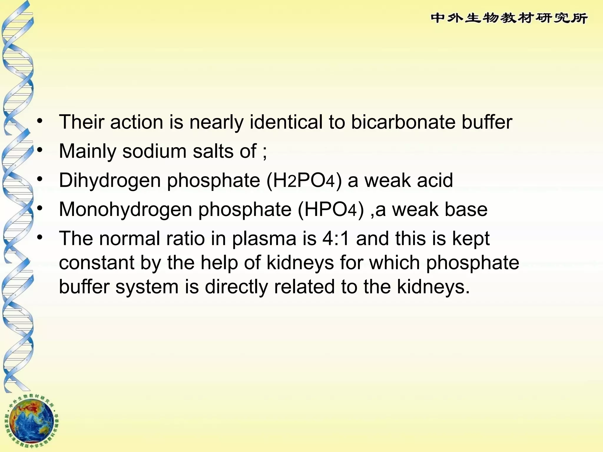 • Their action is nearly identical to bicarbonate buffer
• Mainly sodium salts of ;
• Dihydrogen phosphate (H2PO4) a weak acid
• Monohydrogen phosphate (HPO4) ,a weak base
• The normal ratio in plasma is 4:1 and this is kept
constant by the help of kidneys for which phosphate
buffer system is directly related to the kidneys.
 