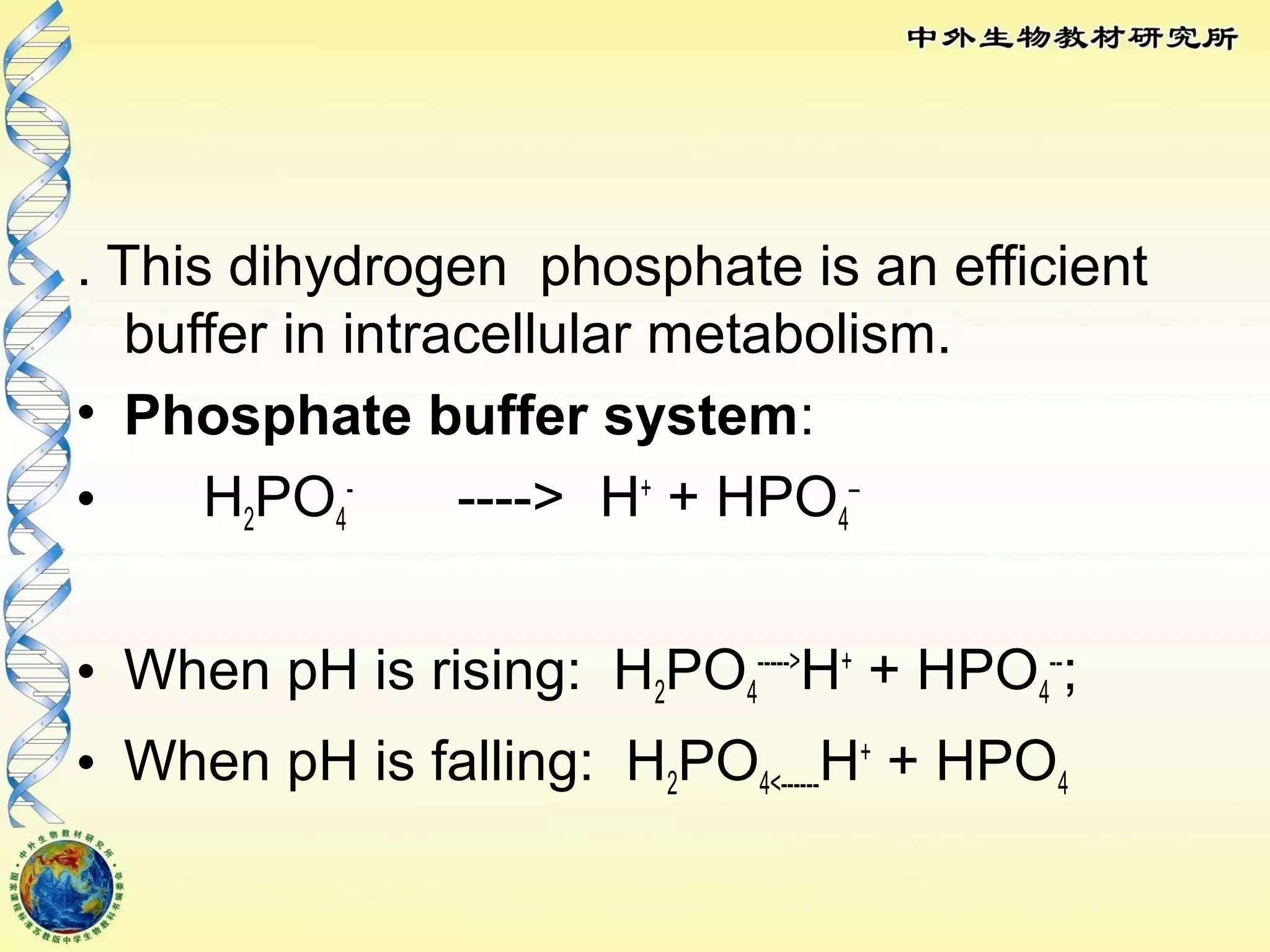 . This dihydrogen phosphate is an efficient
buffer in intracellular metabolism.
• Phosphate buffer system:
• H2PO4
-
----> H+
+ HPO4
–
• When pH is rising: H2PO4
----->
H+
+ HPO4
--
;
• When pH is falling: H2PO4<------H+
+ HPO4
 