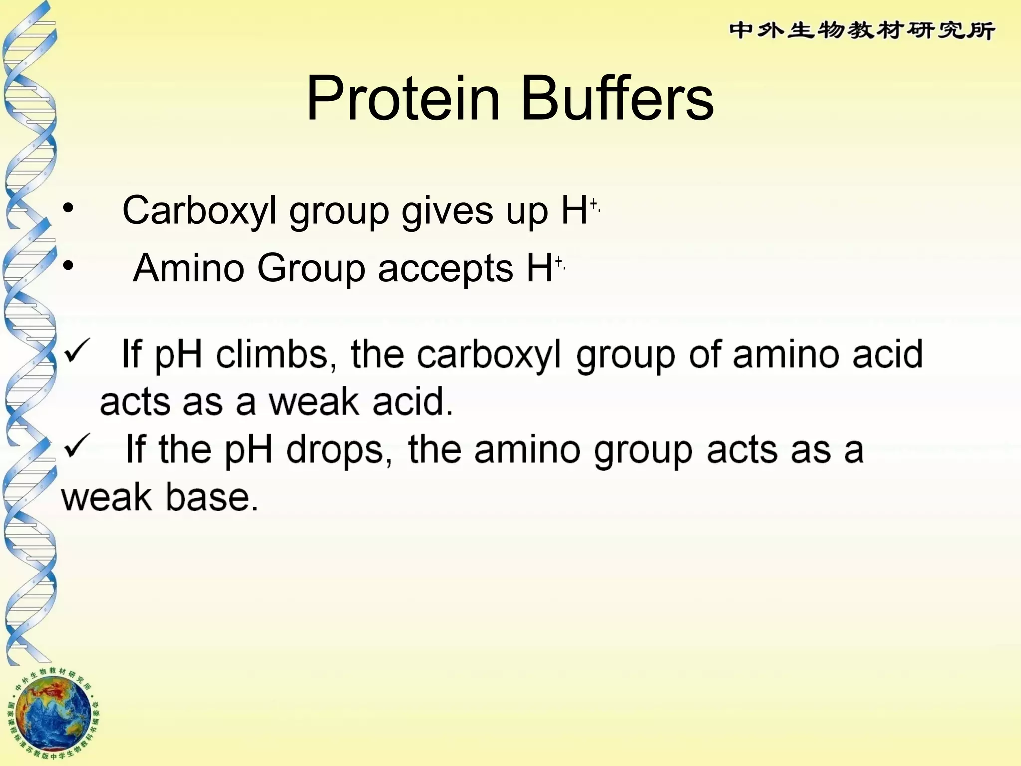 Protein Buffers
• Carboxyl group gives up H+.
• Amino Group accepts H+.
 