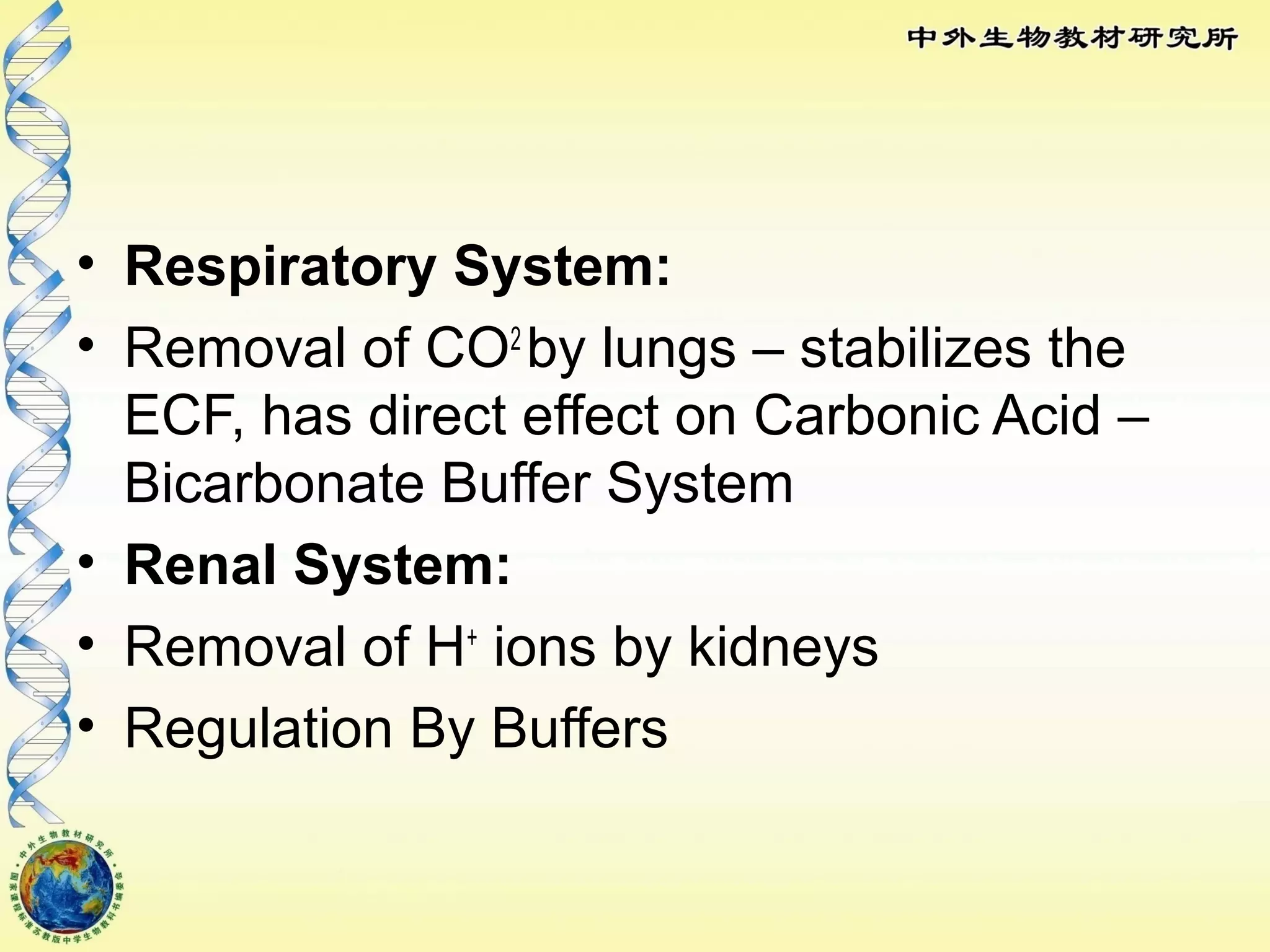 • Respiratory System:
• Removal of CO2
by lungs – stabilizes the
ECF, has direct effect on Carbonic Acid –
Bicarbonate Buffer System
• Renal System:
• Removal of H+
ions by kidneys
• Regulation By Buffers
 