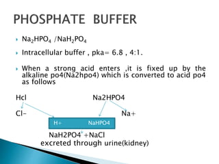  Na2HPO4 /NaH2PO4
 Intracellular buffer , pka= 6.8 , 4:1.
 When a strong acid enters ,it is fixed up by the
alkaline po4(Na2hpo4) which is converted to acid po4
as follows
Hcl Na2HPO4
Cl- Na+
NaH2PO4 +NaCl
excreted through urine(kidney)
H+ NaHPO4
 