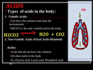 acid base balance in body