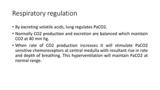 Respiratory regulation
• By excreting volatile acids, lung regulates PaCO2.
• Normally CO2 production and excretion are balanced which maintain
CO2 at 40 mm hg.
• When rate of CO2 production increases it will stimulate PaCO2
sensitive chemoreceptors at central medulla with resultant rise in rate
and depth of breathing. This hyperventilation will maintain PaCO2 at
normal range.
 