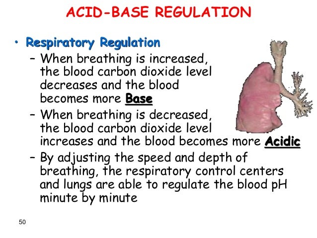 Acid Base Balance