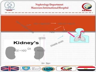 HCl + NaHCO3 H2CO3 + Na Cl
CO2H2O
HCO3
Kidney's
CO2 + H2O H2CO3
H+ Na+
CA
 