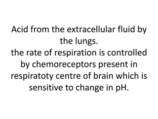 Acid from the extracellular fluid by
the lungs.
the rate of respiration is controlled
by chemoreceptors present in
respiratoty centre of brain which is
sensitive to change in pH.
 