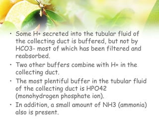 • Some H+ secreted into the tubular fluid of
the collecting duct is buffered, but not by
HCO3- most of which has been filtered and
reabsorbed.
• Two other buffers combine with H+ in the
collecting duct.
• The most plentiful buffer in the tubular fluid
of the collecting duct is HPO42
(monohydrogen phosphate ion).
• In addition, a small amount of NH3 (ammonia)
also is present.
 