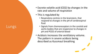 Lungs
• Excrete volatile acid (CO2) by changes in the
rate and volume of respiration
• This is regulated by
• Respiratory centres in the brainstem, that
respond to changes in the pH of cerebrospinal
fluid
• Signals from chemoreceptors in the carotid and
aortic bodies that are responsive to changes in
pH and PCO2 of arterial blood
• Acidosis increases the ventilatory volume.
The pattern in severe acidosis being
described as Kussmaul breathing
 