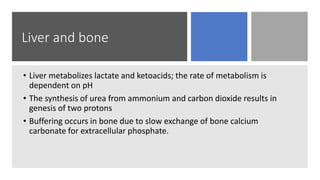 Liver and bone
• Liver metabolizes lactate and ketoacids; the rate of metabolism is
dependent on pH
• The synthesis of urea from ammonium and carbon dioxide results in
genesis of two protons
• Buffering occurs in bone due to slow exchange of bone calcium
carbonate for extracellular phosphate.
 