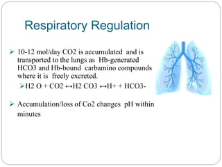Respiratory Regulation
 10-12 mol/day CO2 is accumulated and is
transported to the lungs as Hb-generated
HCO3 and Hb-bound carbamino compounds
where it is freely excreted.
H2 O + CO2 ↔H2 CO3 ↔H+ + HCO3-
 Accumulation/loss of Co2 changes pH within
minutes
 