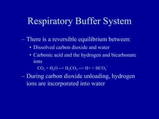 Respiratory Buffer System
– There is a reversible equilibrium between:
• Dissolved carbon dioxide and water
• Carbonic acid and the hydrogen and bicarbonate
ions
CO2 + H2O --> H2CO3 --> H+ + HCO3
¯
– During carbon dioxide unloading, hydrogen
ions are incorporated into water
 