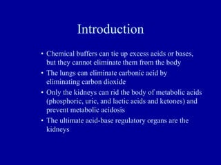 Introduction
• Chemical buffers can tie up excess acids or bases,
but they cannot eliminate them from the body
• The lungs can eliminate carbonic acid by
eliminating carbon dioxide
• Only the kidneys can rid the body of metabolic acids
(phosphoric, uric, and lactic acids and ketones) and
prevent metabolic acidosis
• The ultimate acid-base regulatory organs are the
kidneys
 