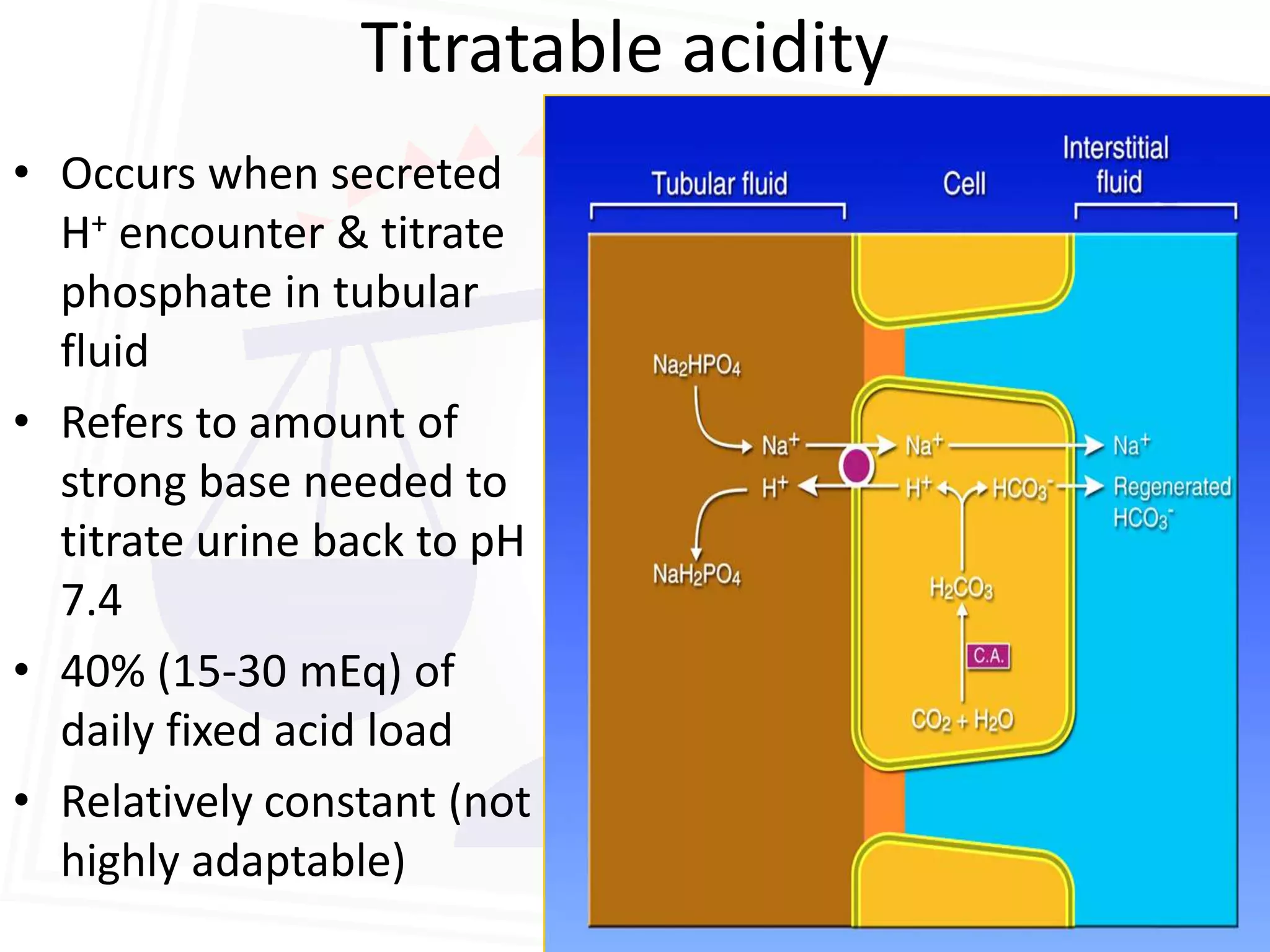 Titratable Acidity Chart.pdf acid base balance.pdf