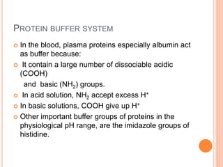 Protein Buffer Example Acid Base Balance. An important topic in Physiologypptx | PPTX