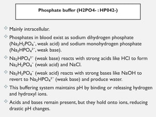 Ppo2 Acid Base Balance Comprehensive Overview of Acid-Base Balance and Regulation Mechanisms ...