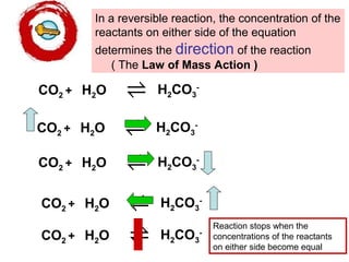 H2CO3
-
CO2 + H2O
In a reversible reaction, the concentration of the
reactants on either side of the equation
determines the direction of the reaction
( The Law of Mass Action )
H2CO3
-
CO2 + H2O
H2CO3
-
CO2 + H2O
H2CO3
-
CO2 + H2O
H2CO3
-
CO2 + H2O
Reaction stops when the
concentrations of the reactants
on either side become equal
 