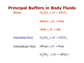 Principal Buffers in Body Fluids
Blood H2
CO3
H⇆ +
+ HCO3
–
HProt H⇆ +
+ Prot–
HHb H⇆ +
+ Hb–
Interstitial fluid H2
CO3
H⇆ +
+ HCO3
–
Intracellular fluid HProt H⇆ +
+ Prot–
H2
PO4
–
H⇆ +
+ HPO4
2–
 
