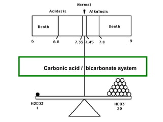 Carbonic acid / bicarbonate system
 
