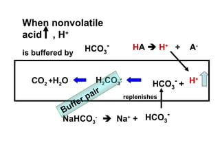 H+H2CO3
-
HCO3
-
+CO2 +H2O
When nonvolatile
acid , H+
is buffered by HCO3
- HA  H+
+ A-
NaHCO3
-
 Na+
+ HCO3
-
replenishes
Buffer pair
 