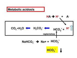 H+H2CO3
-
HCO3
-
+CO2 +H2O
HA  H+
+ A-
NaHCO3
-
 Na+ + HCO3
-
replenishes
Metabolic acidosis
HCO3
-
 