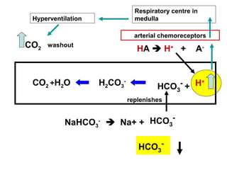 H+H2CO3
-
HCO3
-
+CO2 +H2O
HA  H+
+ A-
NaHCO3
-
 Na+ + HCO3
-
replenishes
Respiratory centre in
medullaHyperventilation
washoutCO2
arterial chemoreceptors
HCO3
-
 