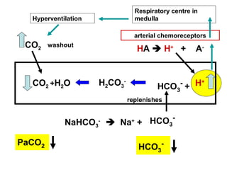 H+H2CO3
-
HCO3
-
+CO2 +H2O
HA  H+
+ A-
NaHCO3
-
 Na+
+ HCO3
-
replenishes
Hyperventilation
washoutCO2
Respiratory centre in
medulla
arterial chemoreceptors
HCO3
-PaCO2
 